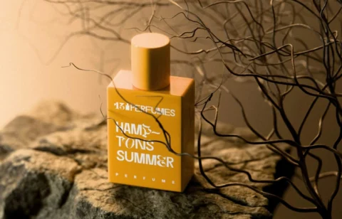 Hamptons Summer perfume bottle by 13th Perfumes displayed on a stone surface with artistic dried branches in the background.